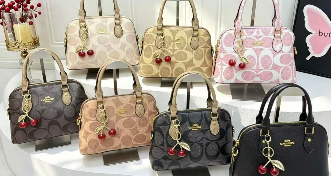Coach Mini Purse